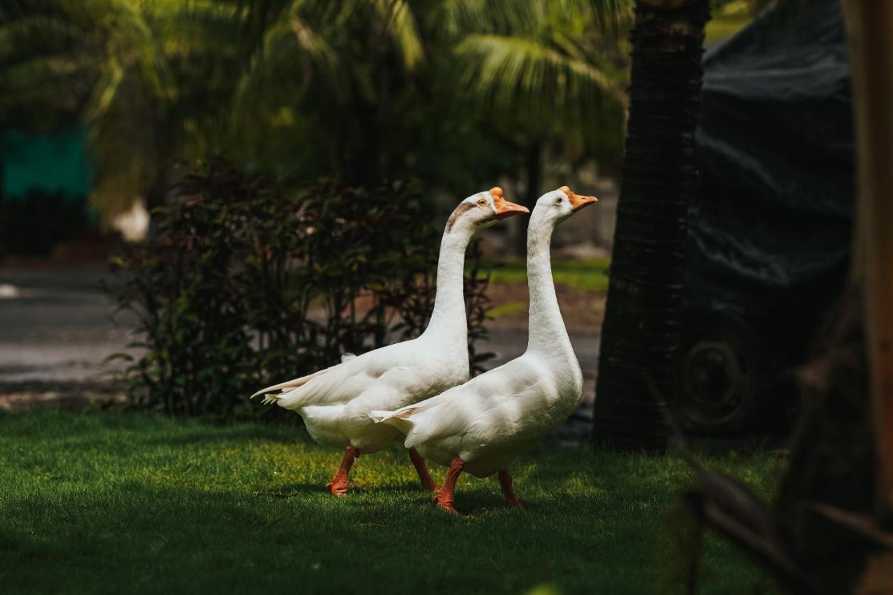 The Kerala Village, Shahapur Shenwa Exteriör bild